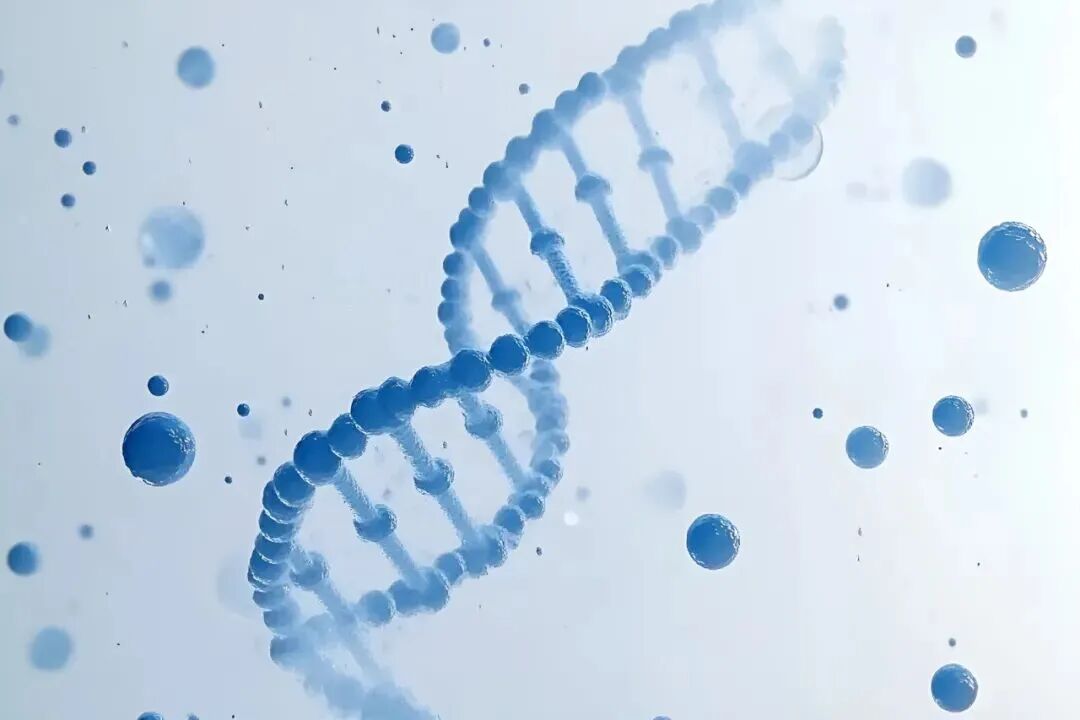 พันธมิตรทางการแพทย์ครั้งแรกกับวิสเตเพื่อสร้างห้องปฏิบัติการเซลล์ ที่มีคุณภาพสูง